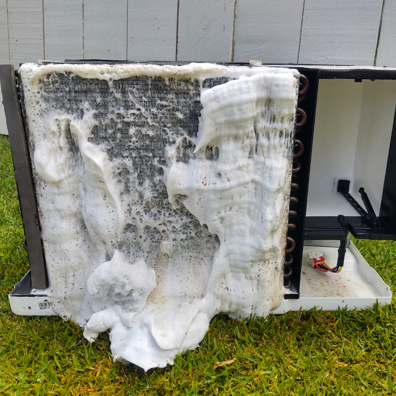 Phase 2: Deep Cleaning